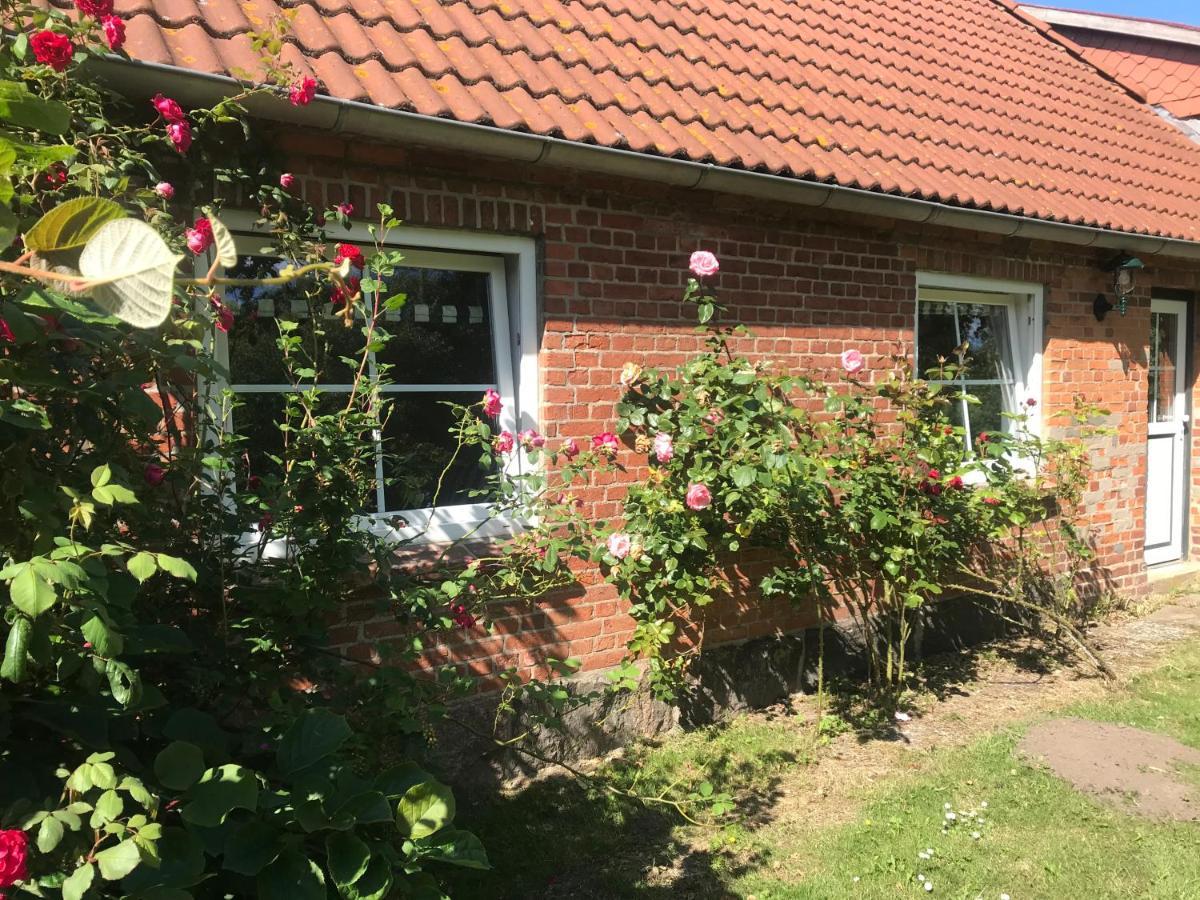 Refugium In Ostseenaehe Surendorf 外观 照片